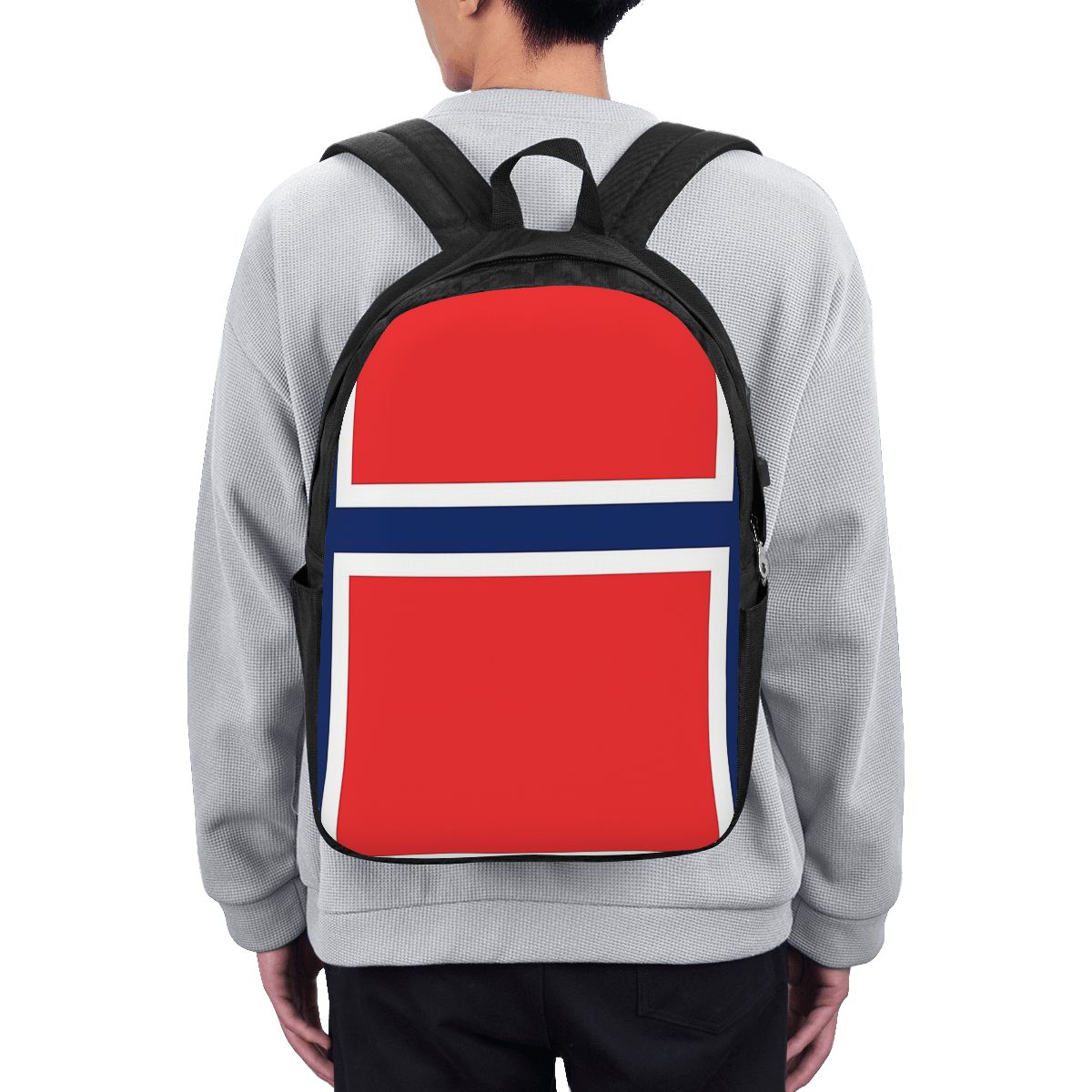 حقيبة ظهر بعلم النرويج، حقيبة  - مراجعة Laptop Bag وسعره